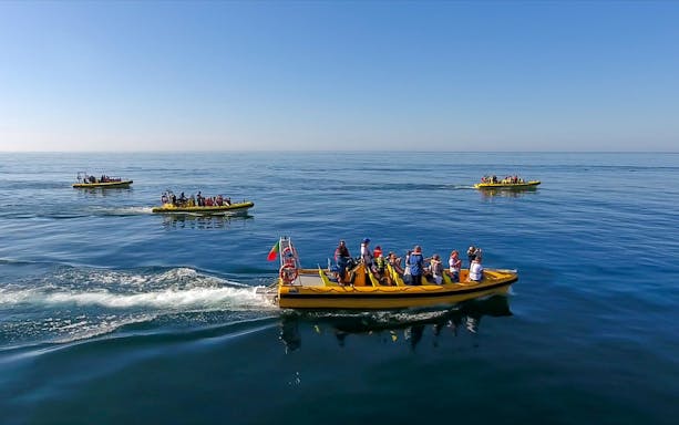 Yellow boats with tourists on a dolphin watching and cave cruise in open sea.