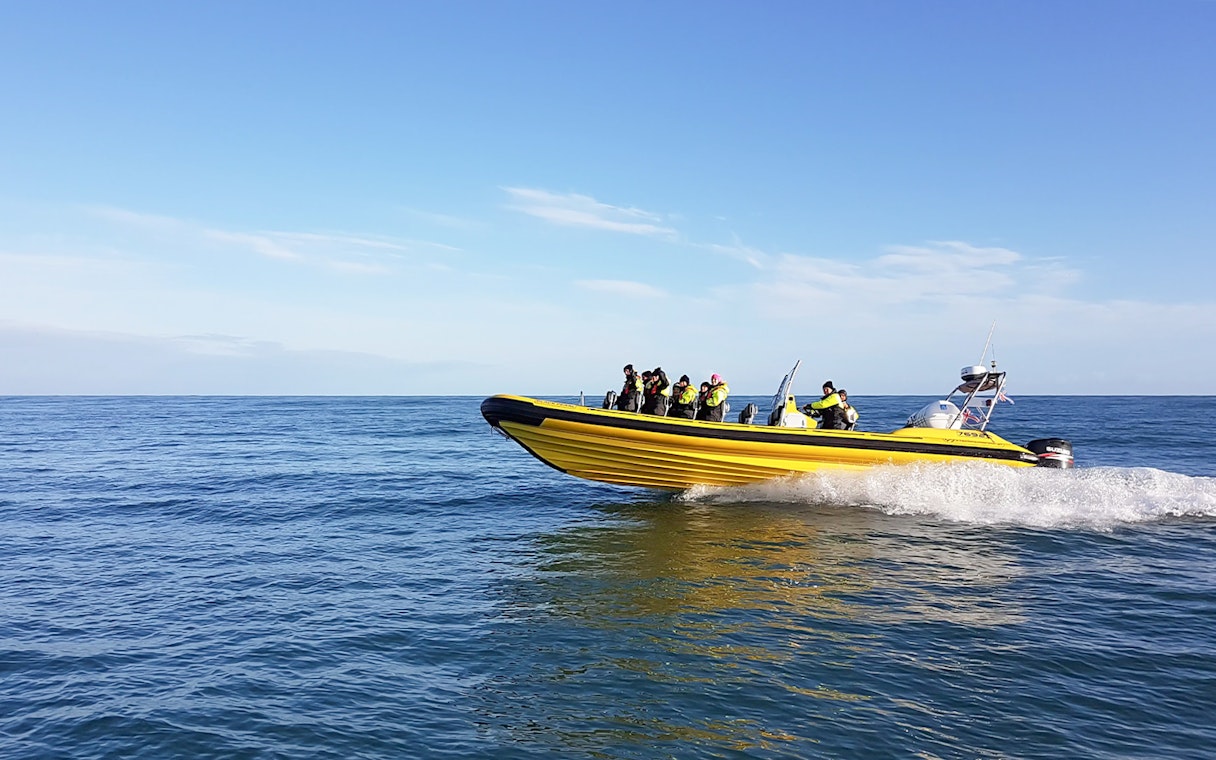 Guests on a yellow RIB speedboat whale watching in Reykjavik.