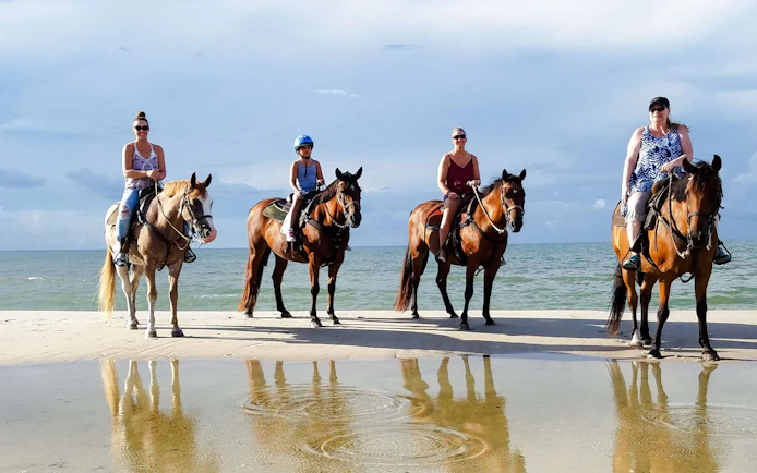 Side Beach and Forest Horseback Riding with Hotel Transfers