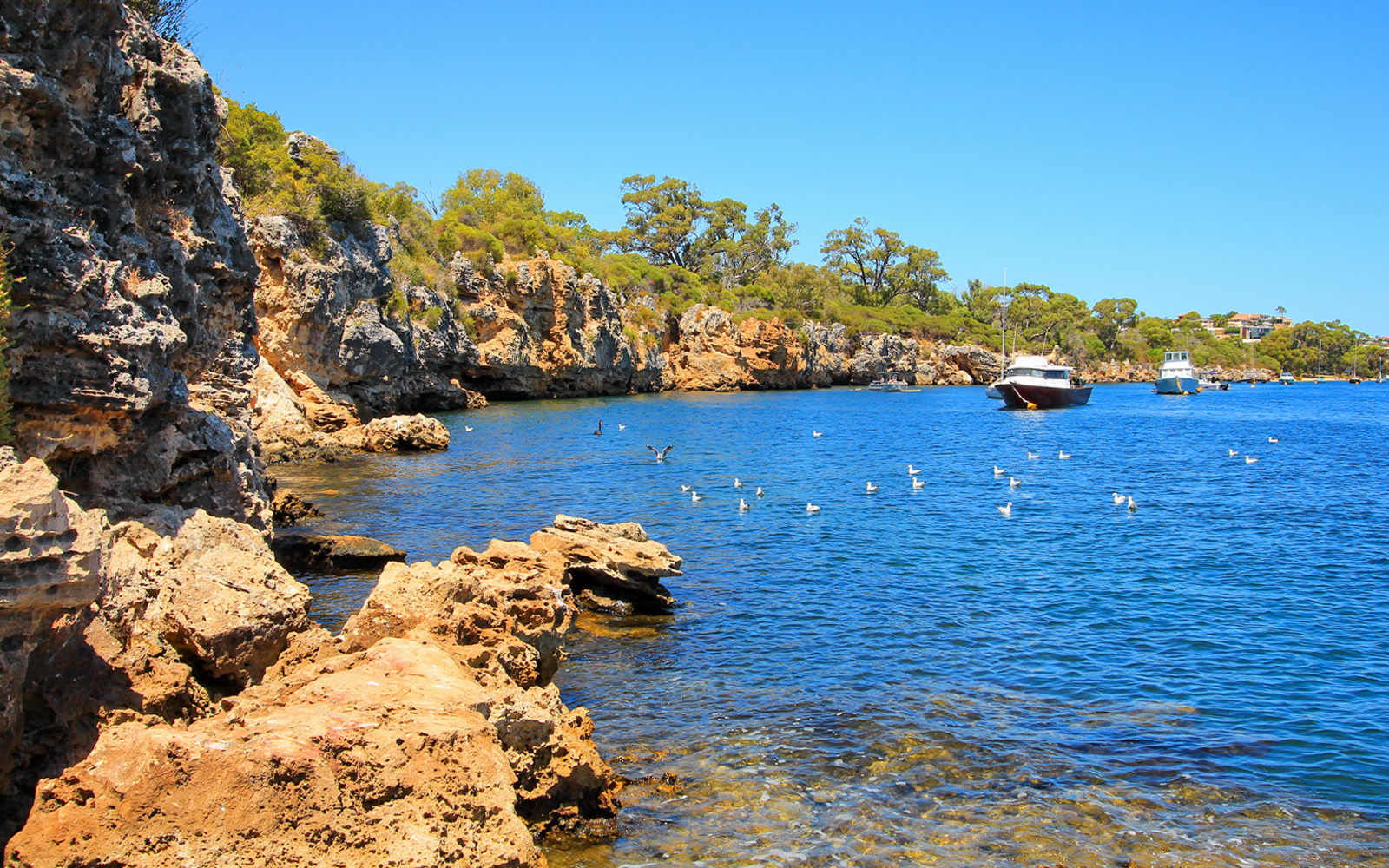 Blackwall Reach Kayalıkları