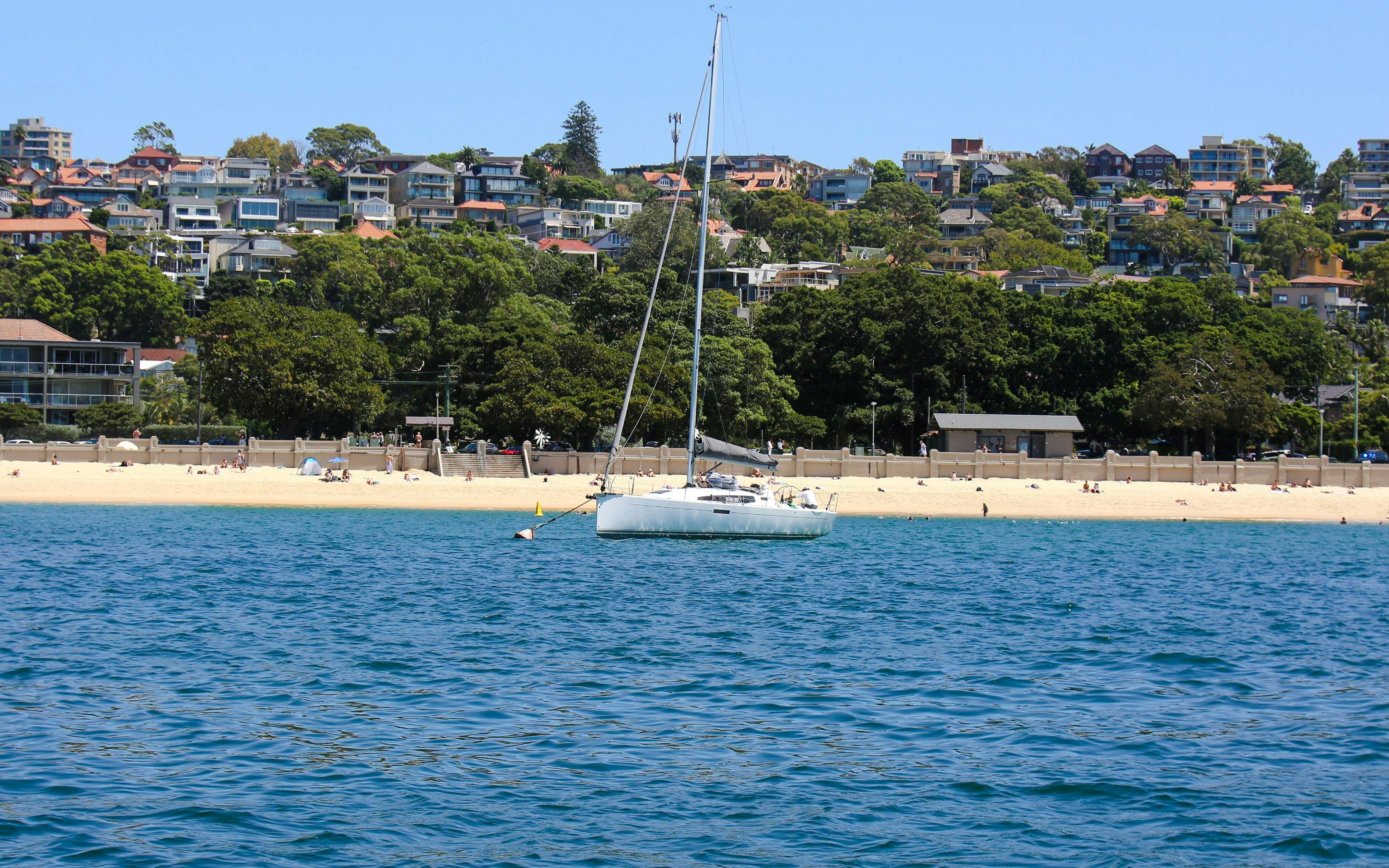 Sailboat on Sydney Harbour with coastal homes in the background.