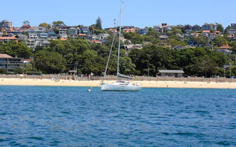 Sailboat on Sydney Harbour with coastal homes in the background.