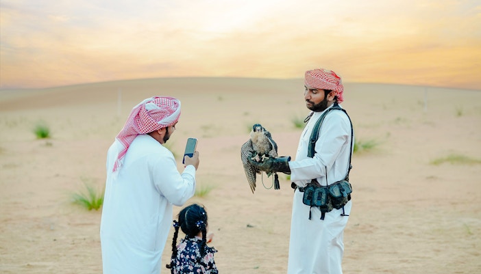 Guests with a Falcon