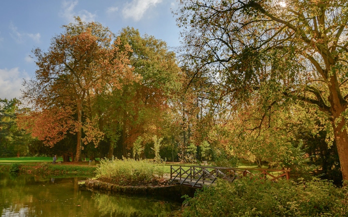 Wooden bridge over a pond surrounded by autumn trees at Château of Azay-le-Rideau.