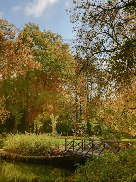 Wooden bridge over a pond surrounded by autumn trees at Château of Azay-le-Rideau.