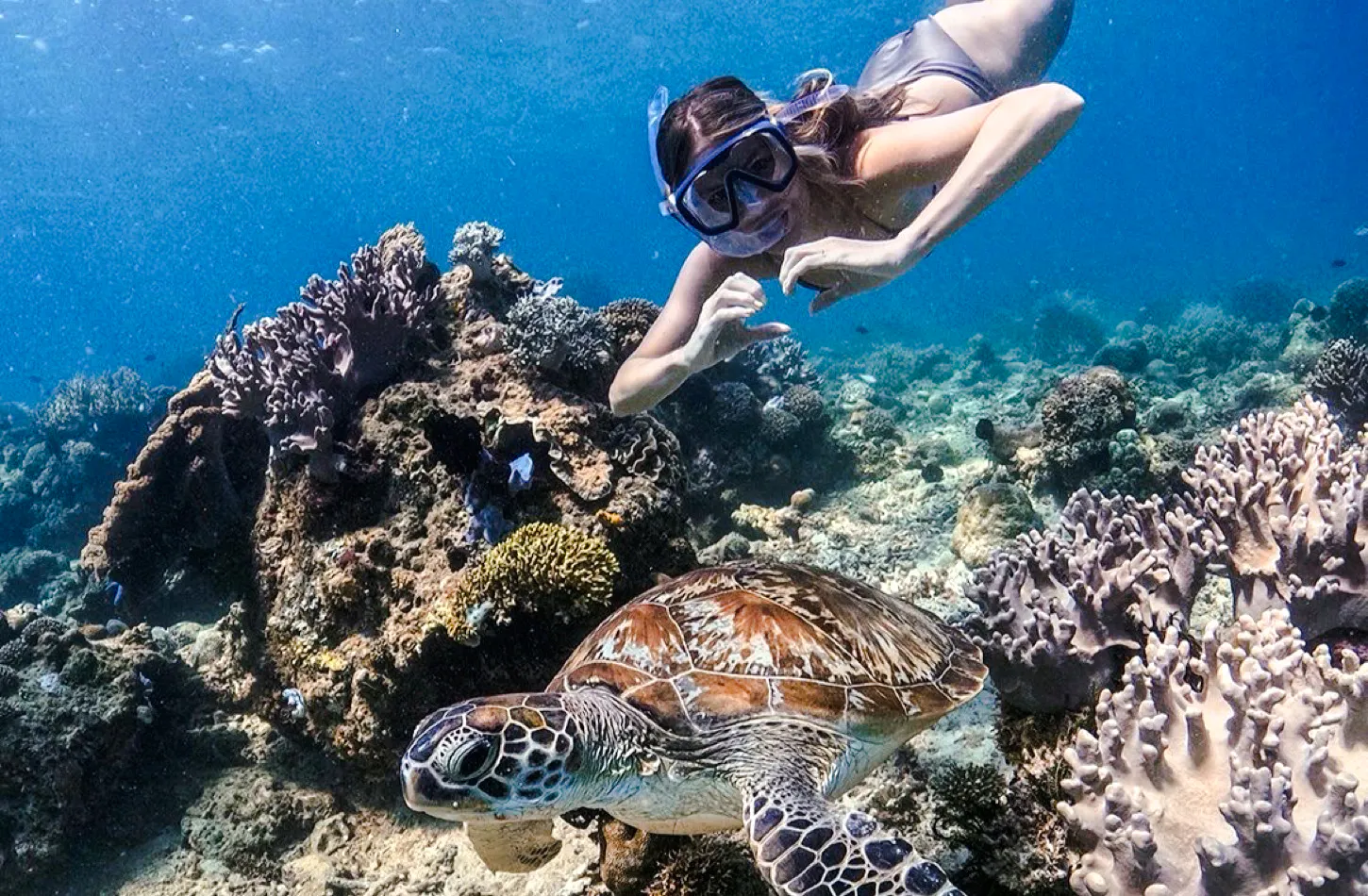 Snorkeler observing sea turtle near coral reef at Blue Lagoon, Bali.