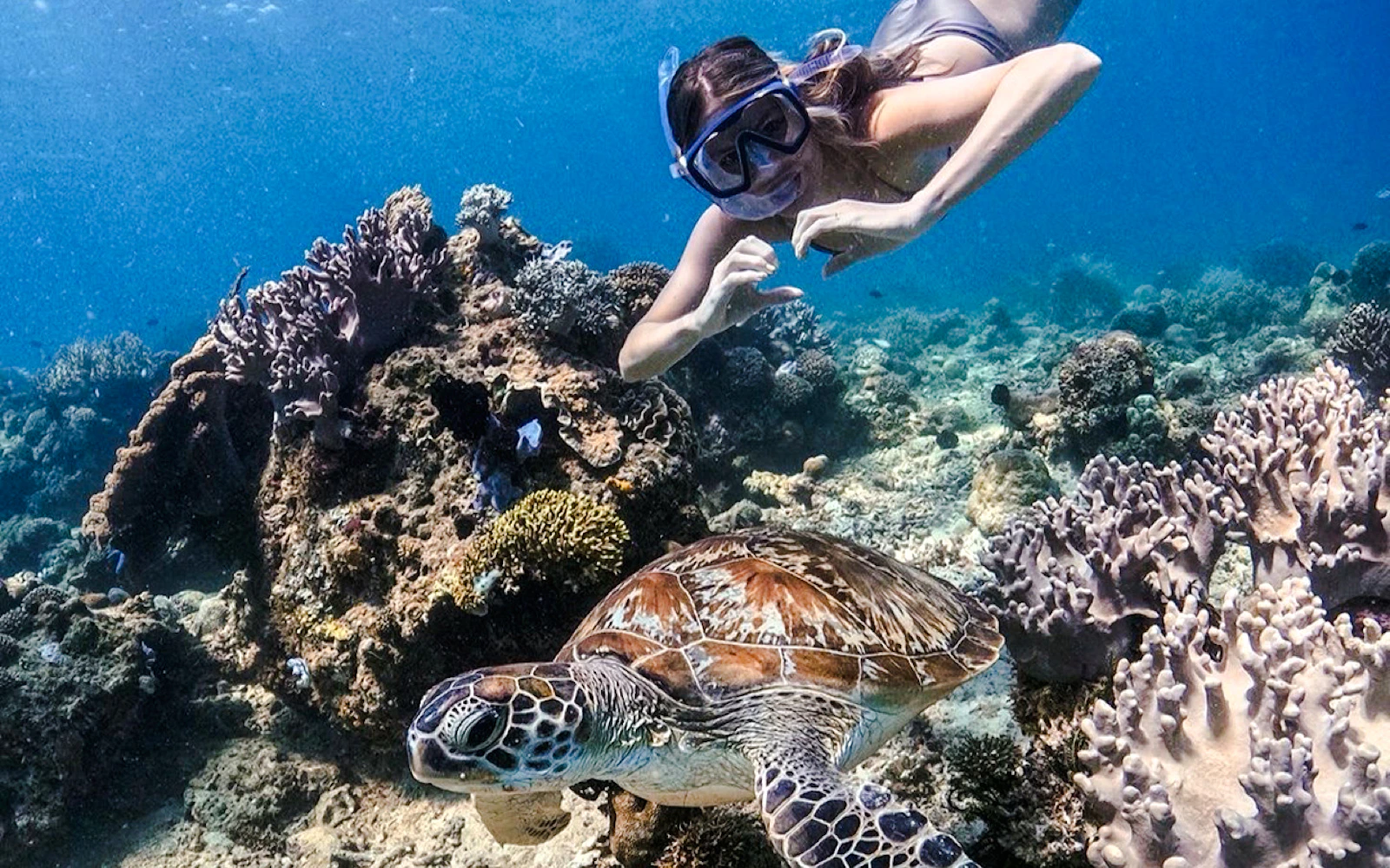 Bali Blue Lagoon and Tanjung Jepun Snorkeling Tour