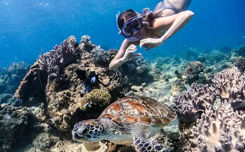 Snorkeler observing sea turtle near coral reef at Blue Lagoon, Bali.