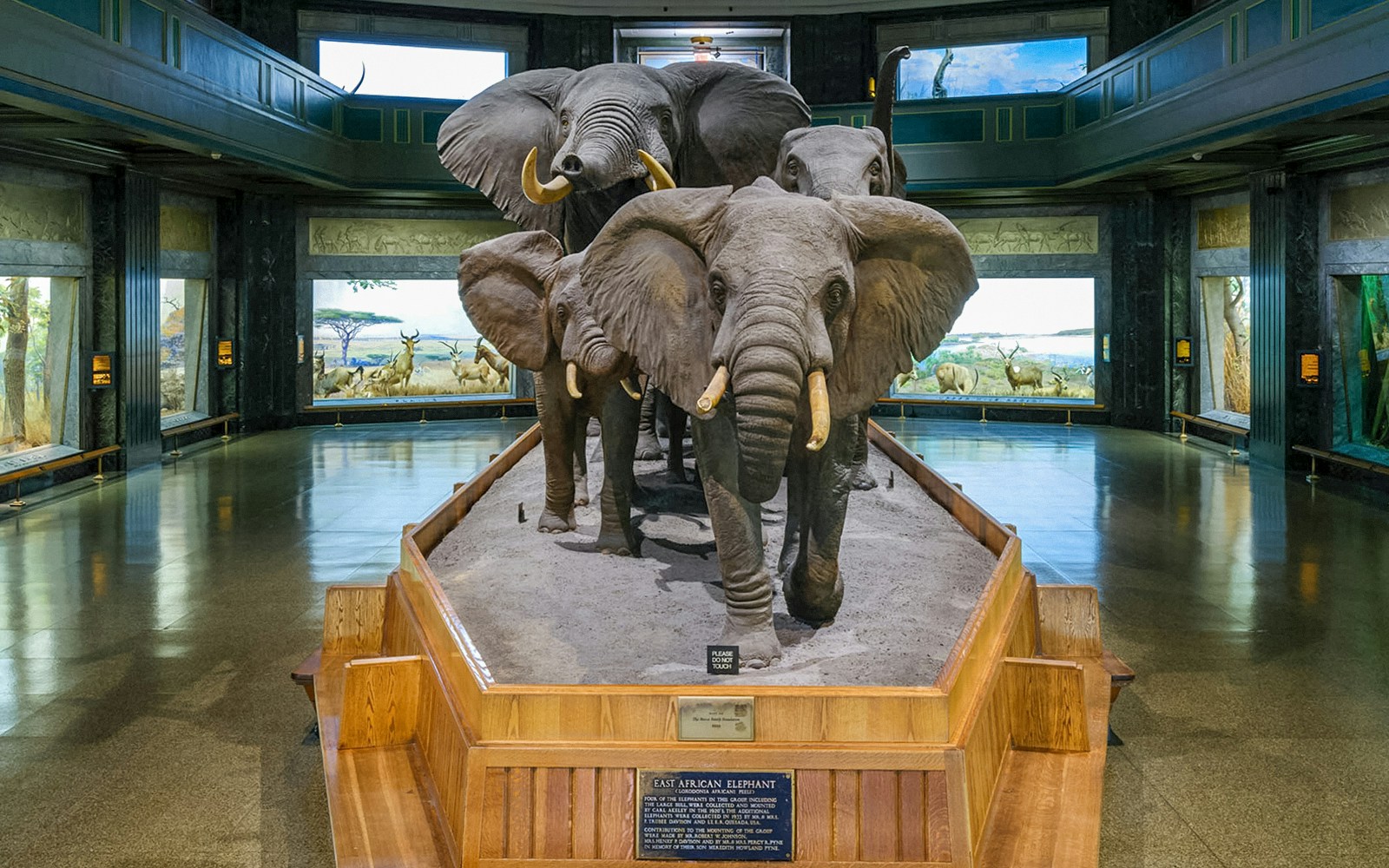 Visitors exploring exhibits at the American Museum of Natural History.