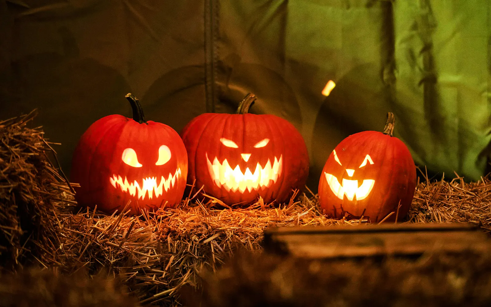 Carved jack-o'-lanterns on hay bales at Halloween event in Heide Park.