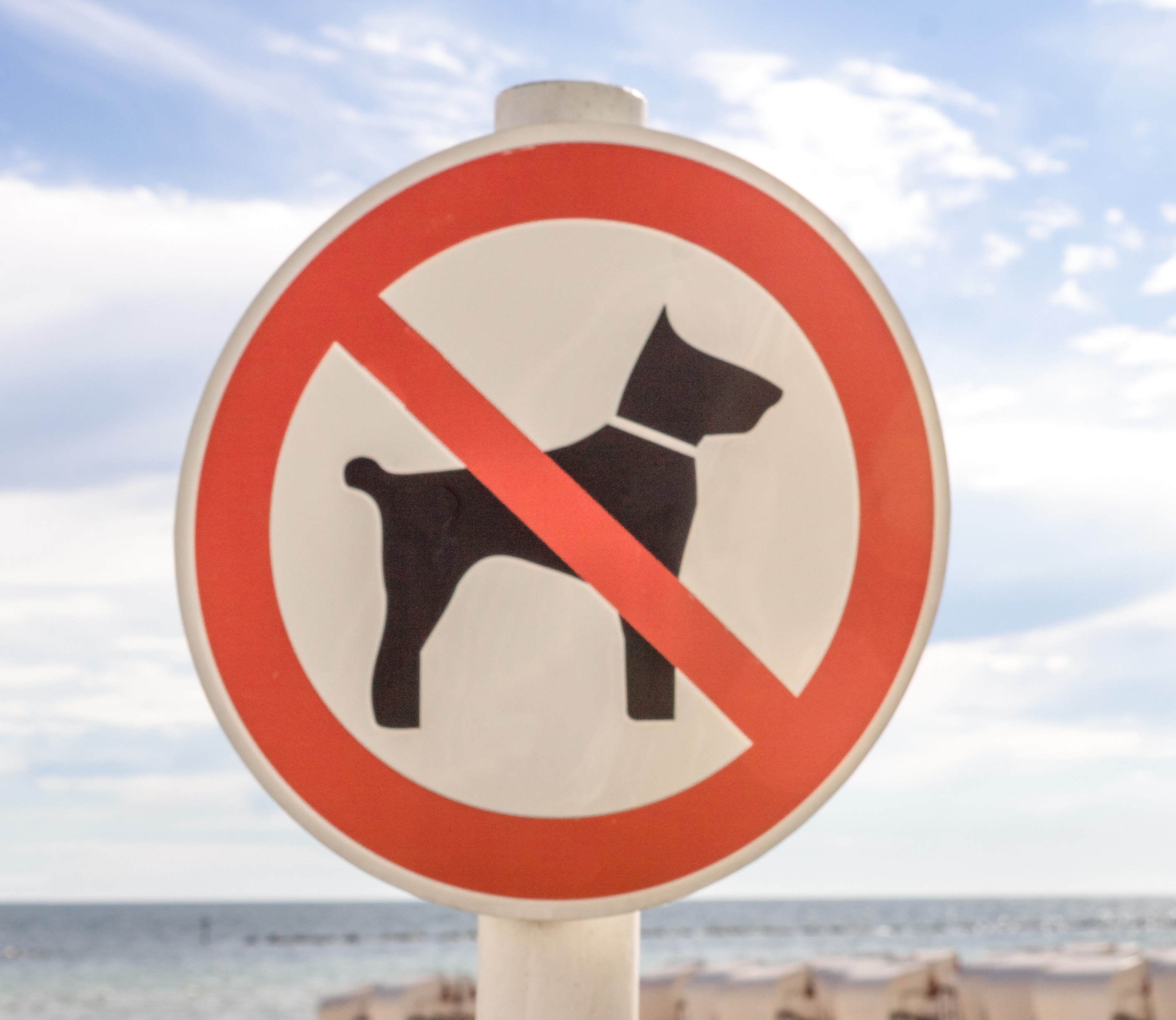 No dogs allowed sign at Berjaya Times Square Theme Park entrance.