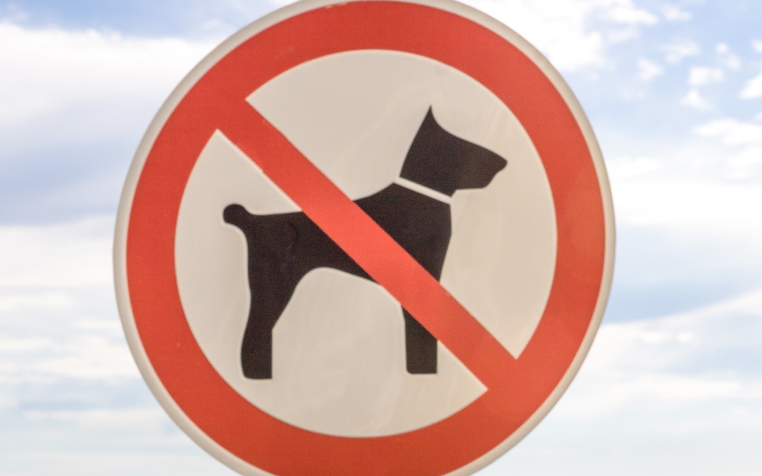 Lotte World Theme Park rules