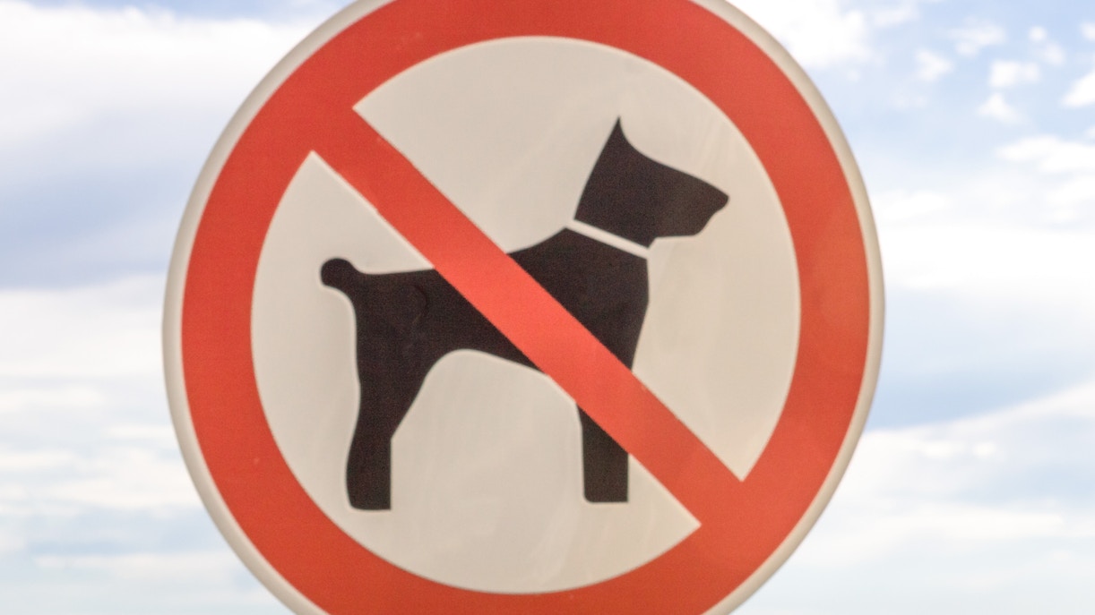 No dogs allowed sign at Berjaya Times Square Theme Park entrance.