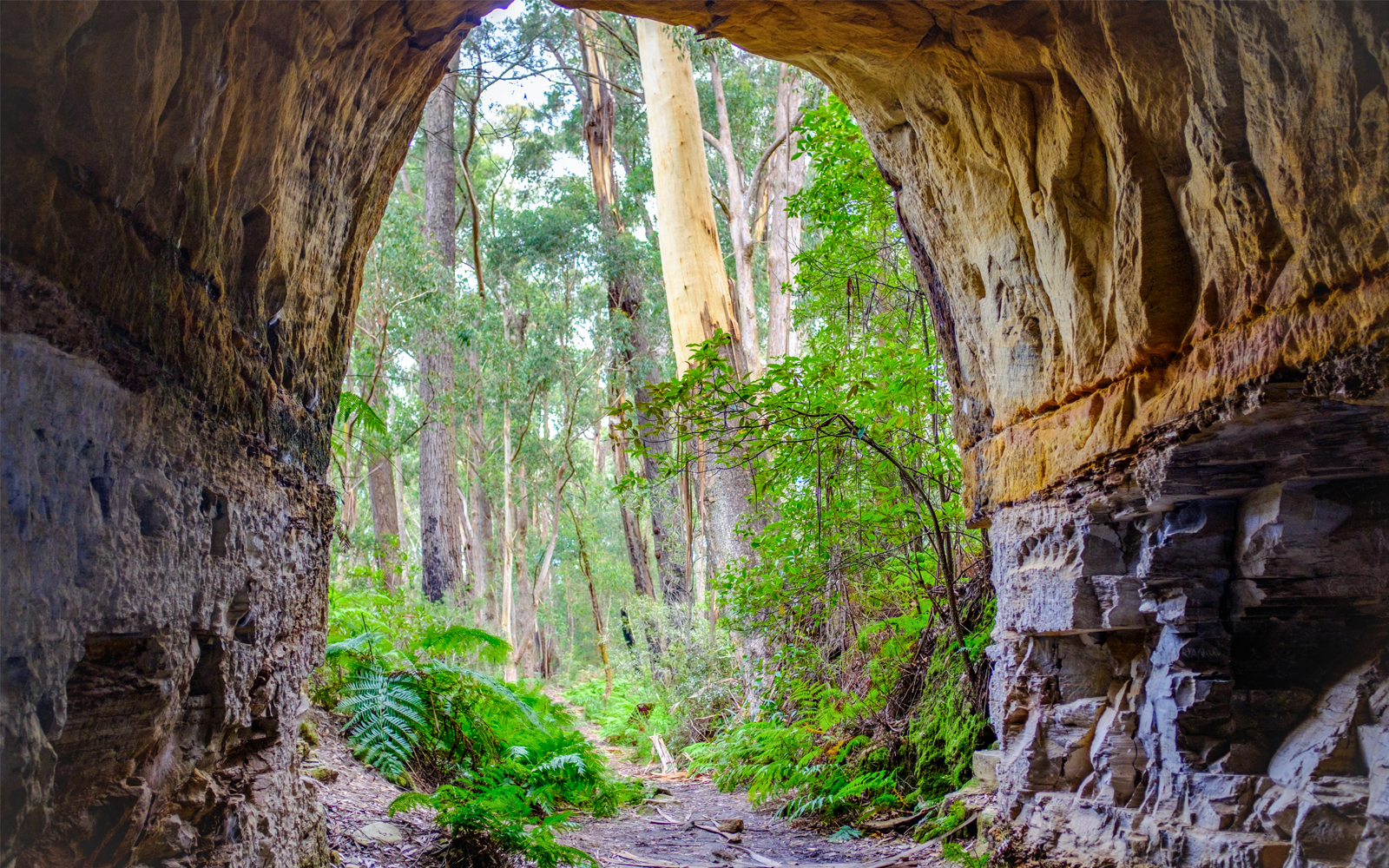 View out of disused tramway tunnel on Box Vale walking track Mittagong NSW Australia