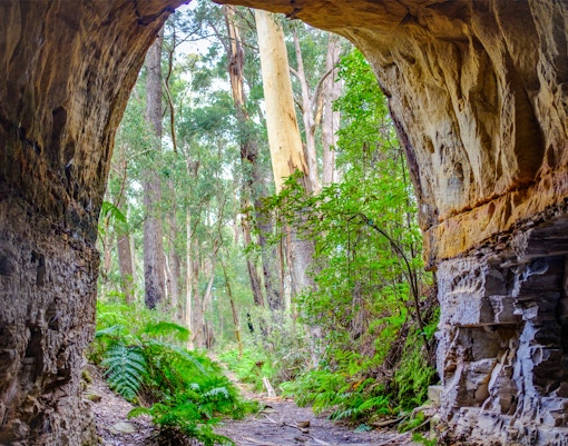 View out of disused tramway tunnel on Box Vale walking track Mittagong NSW Australia