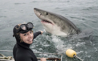 from cape town: private transfers, shark cage diving in gansbaai, and stony point penguin colony tour-2