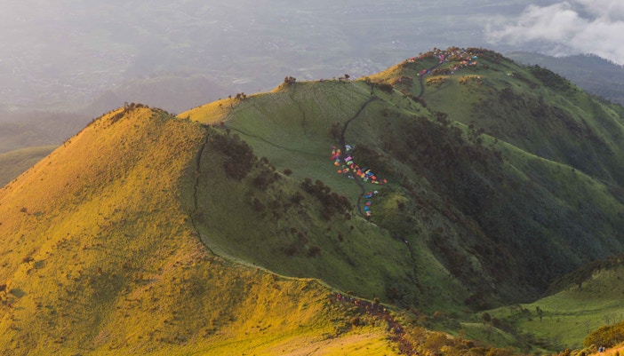Teletubbies Hill lush green landscape, Nusa Penida, Indonesia.
