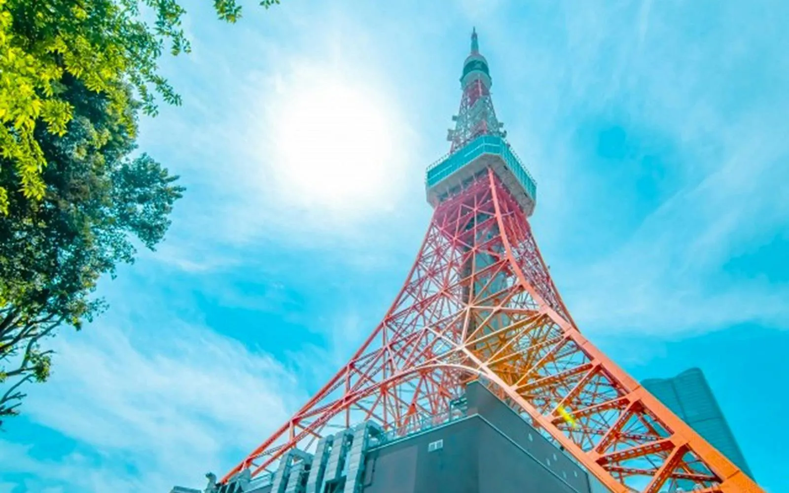 Tokyo Tower against a clear blue sky with surrounding trees.