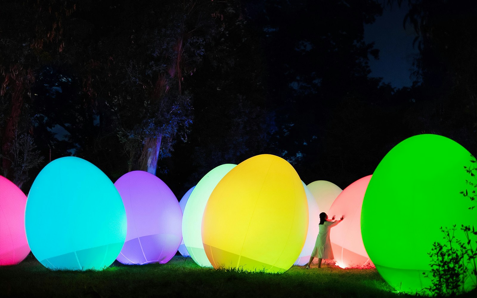 About TeamLab Botanical Garden