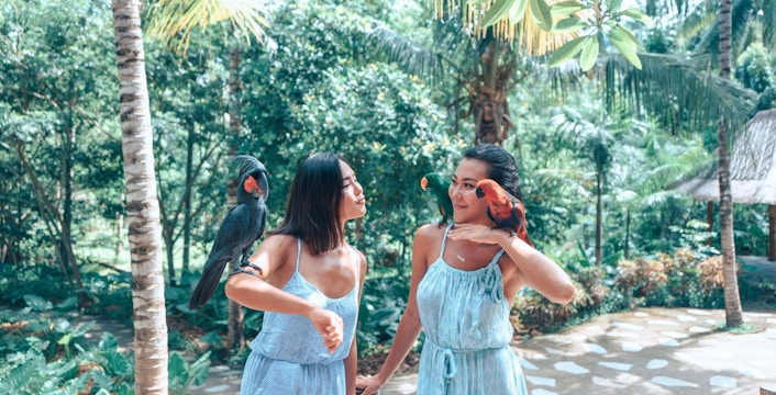 Two tourists with parrots at Lombok Wildlife Park, surrounded by lush greenery.