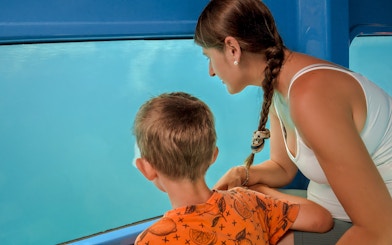 Mother and son observing fish through submarine window.