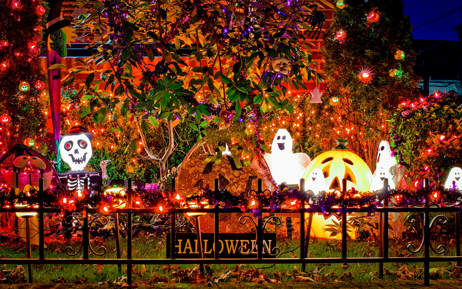 Halloween yard display with glowing ghosts, skeleton, and jack-o'-lanterns surrounded by colorful lights.