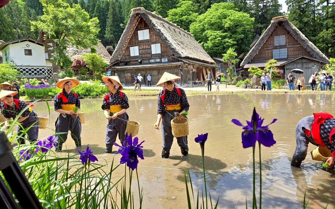 da nagoya: tour in giornata a shirakawa-go e hida takayama-4