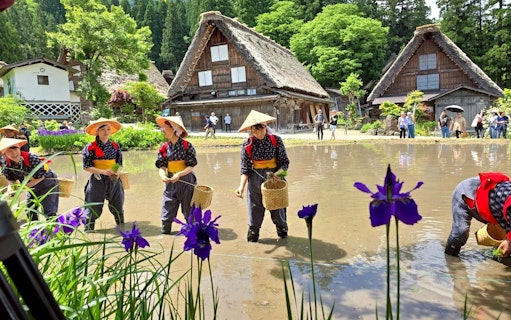 da nagoya: tour in giornata a shirakawa-go e hida takayama-4