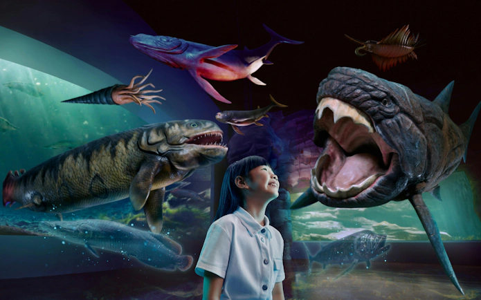 Child observing prehistoric marine creatures at Singapore Oceanarium Marine Adventure.
