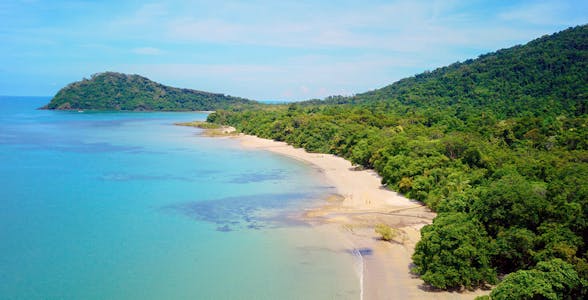 Cape Tribulation Tours