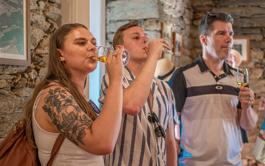 Tourists enjoying wine tasting in Douro Valley, Portugal.