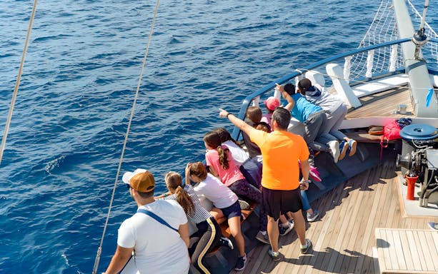 Tourists with guide spotting whales and dolphins on a No-Chase Cruise.