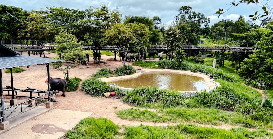 Elephant Sanctuary Koh Samui