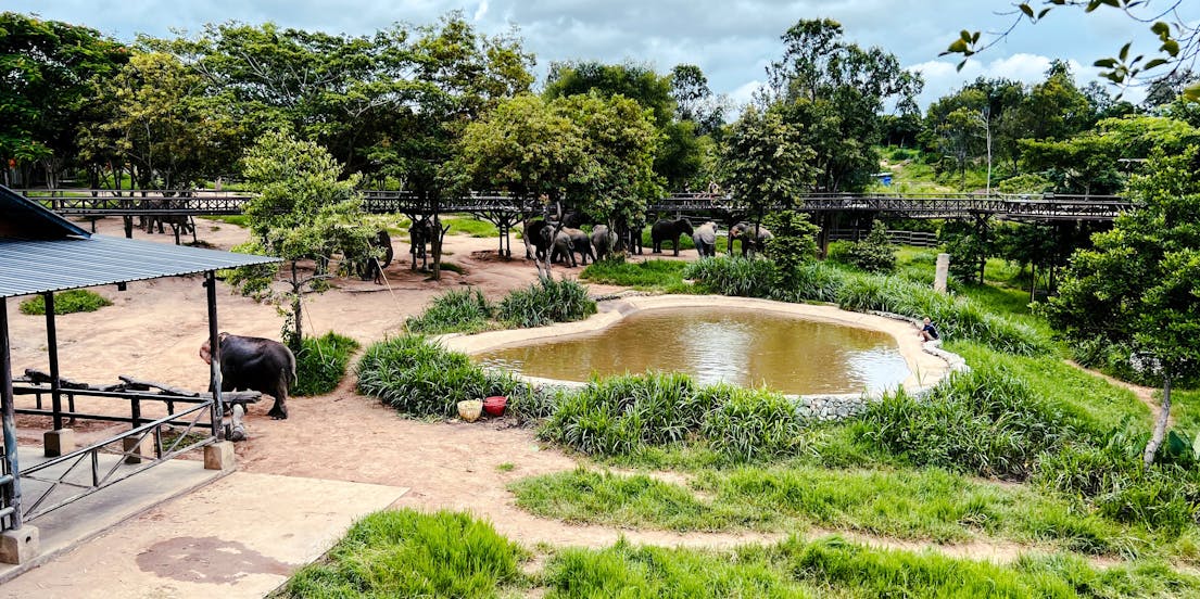Elephant Sanctuary Koh Samui