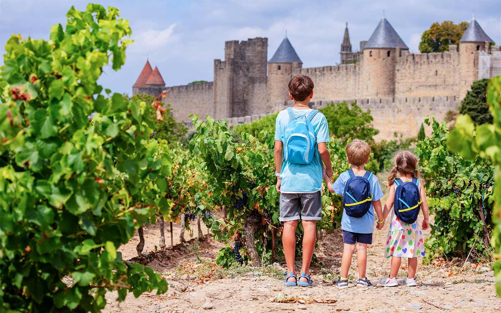 Carcassonne Castle