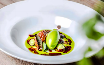 Gourmet dish with green sorbet and sauce on Vienna cruise, Austria.