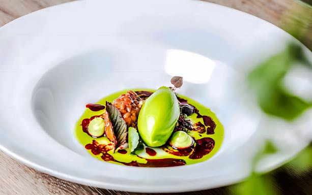 Gourmet dish with green sorbet and sauce on Vienna cruise, Austria.
