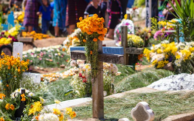 Grave adorned with marigolds during Day of the Dead celebration in Mexico.