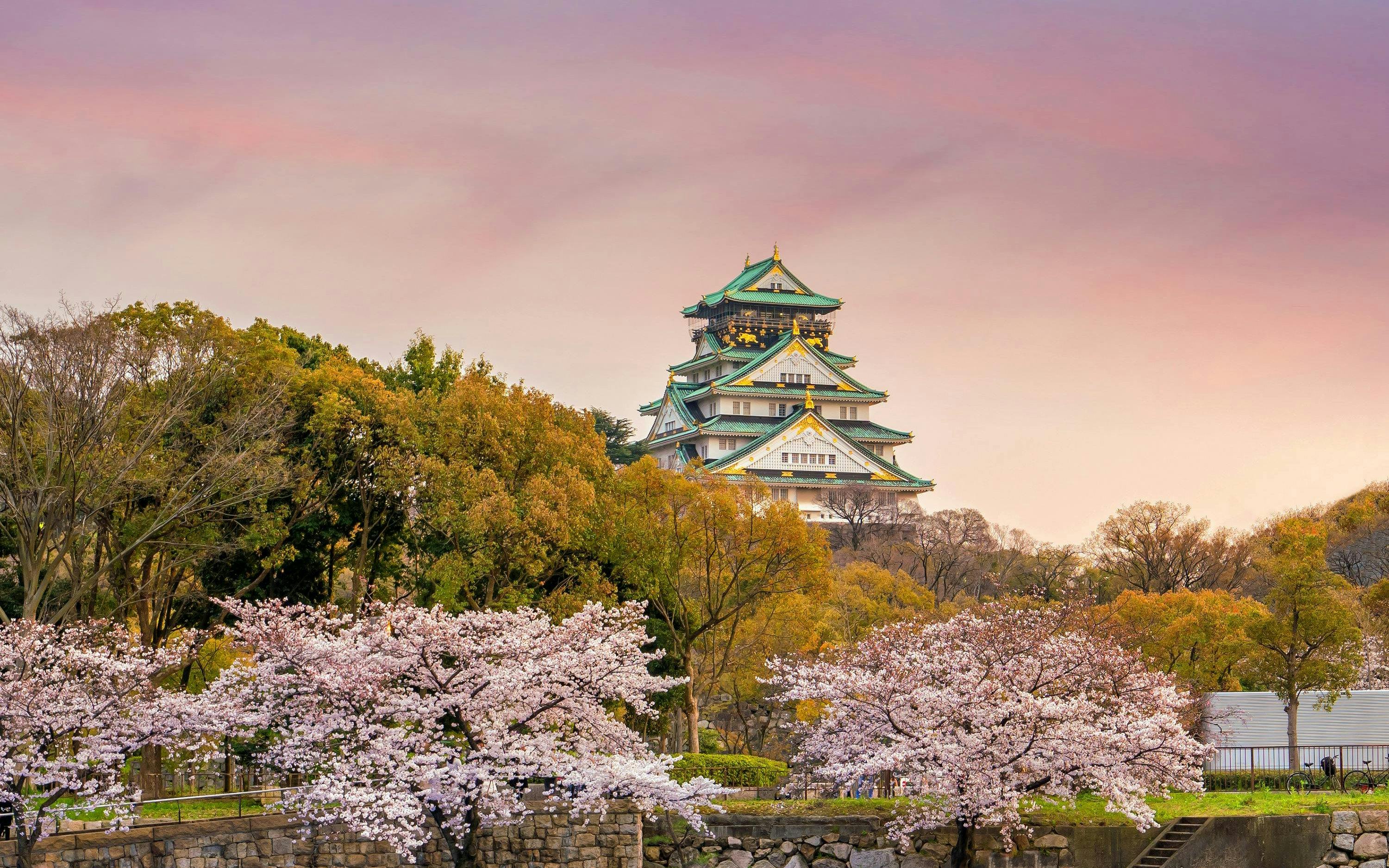 Nishinomaru Garden and Osaka Castle during evening blossom season