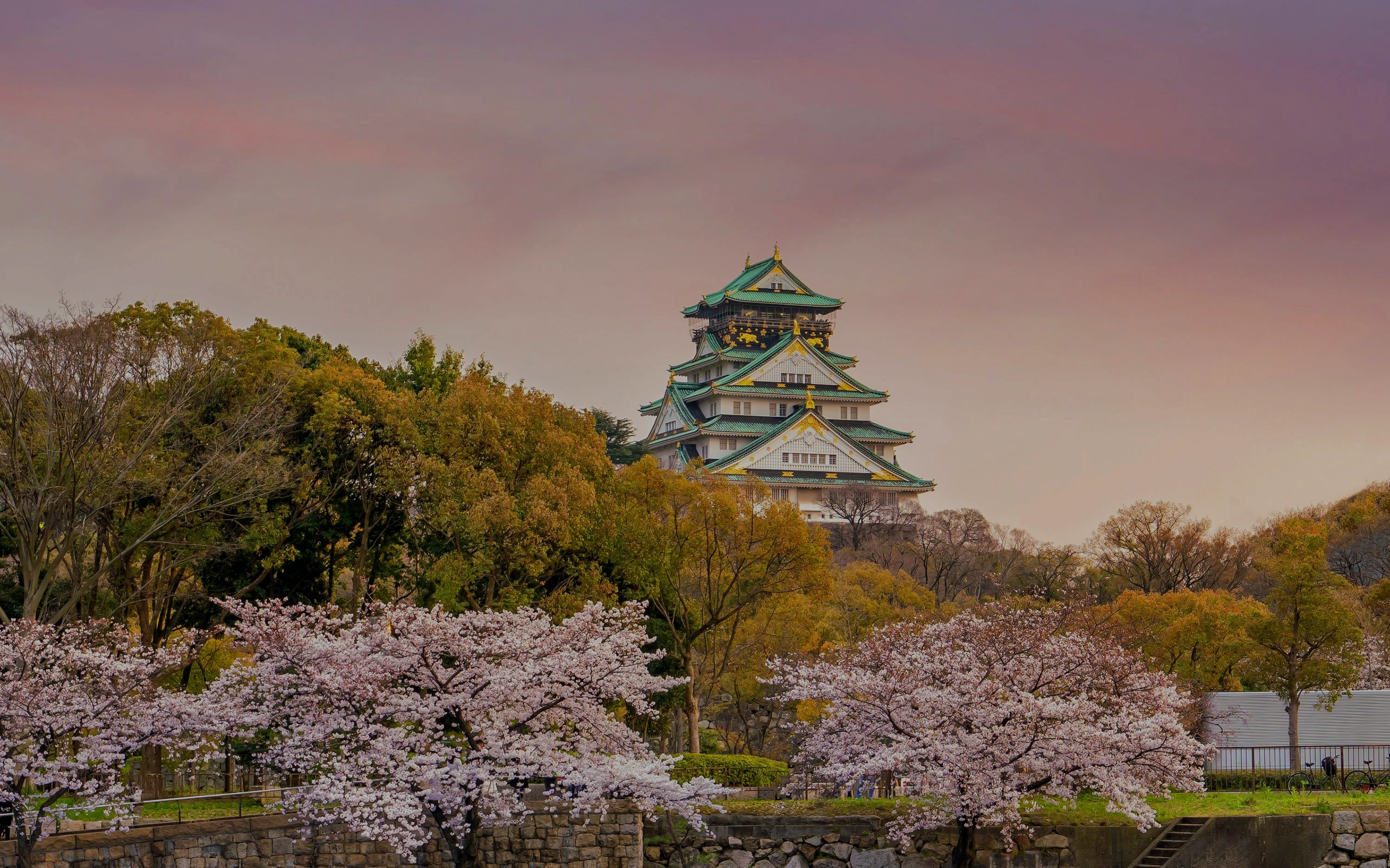 Osaka Castle surrounded by blooming cherry blossoms in Japan.