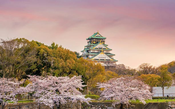 Osaka Castle surrounded by blooming cherry blossoms in Japan.