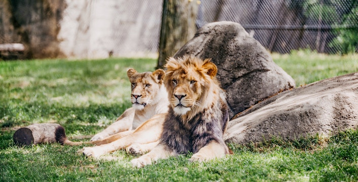Zoológico de Melaka