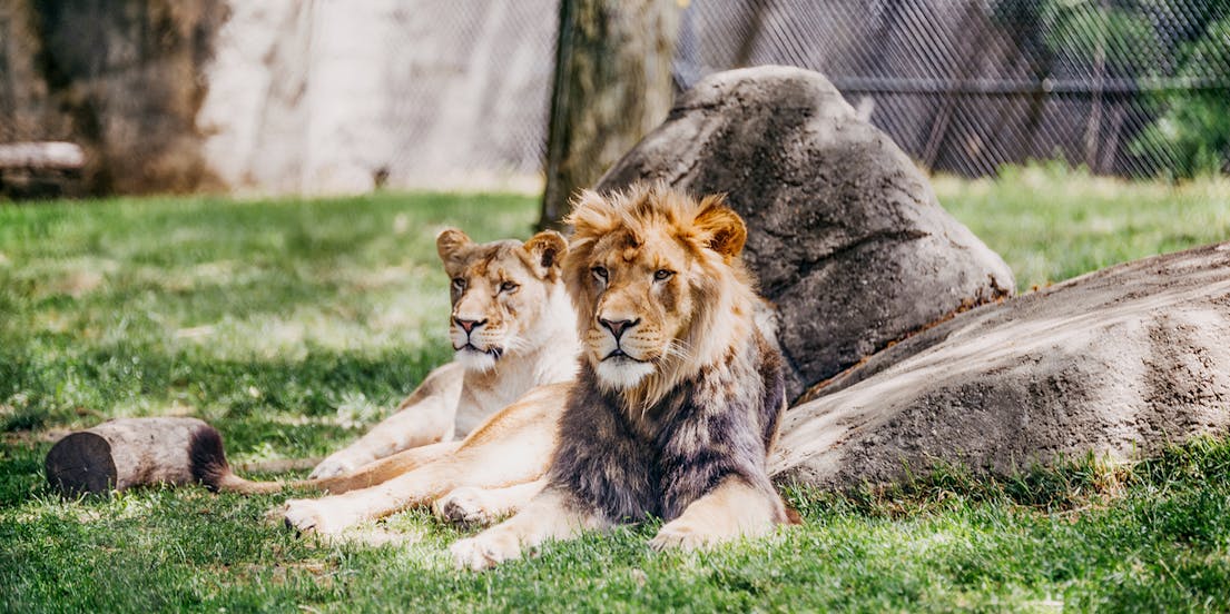 Zoológico de Melaka