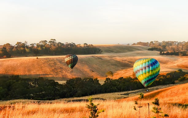 Hot air balloons over Geelong/Bellarine landscape at sunrise.