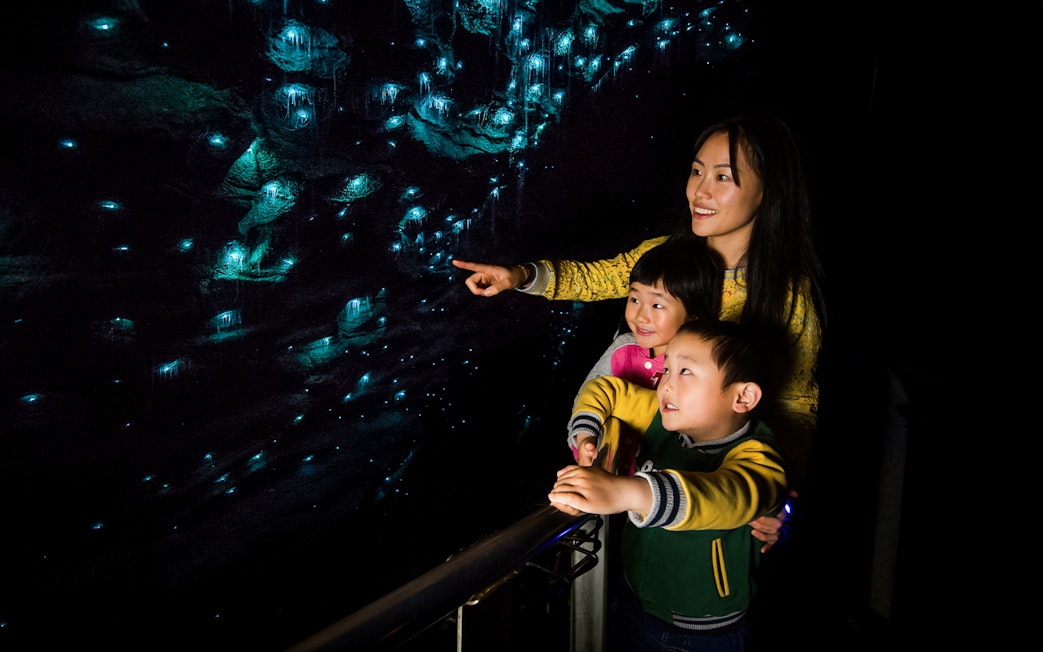 Visitors admire glowworms and stalactites in Waitomo Glowworm Caves, New Zealand.
