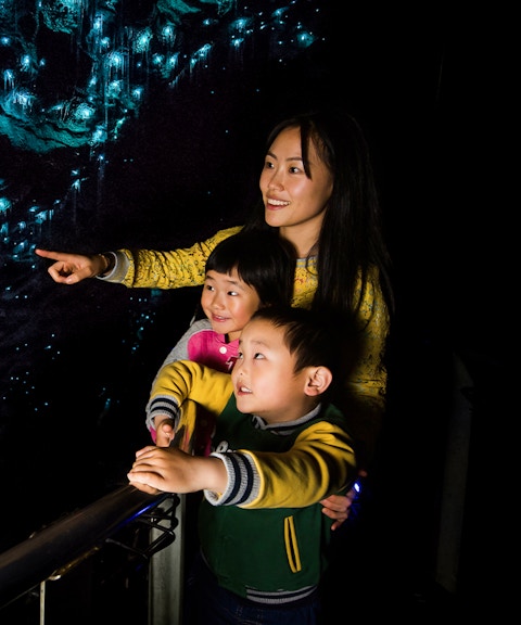 Visitors admire glowworms and stalactites in Waitomo Glowworm Caves, New Zealand.