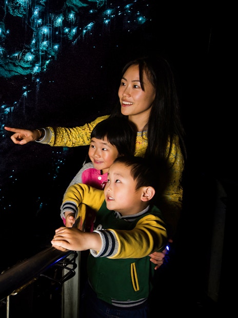 Visitors admire glowworms and stalactites in Waitomo Glowworm Caves, New Zealand.