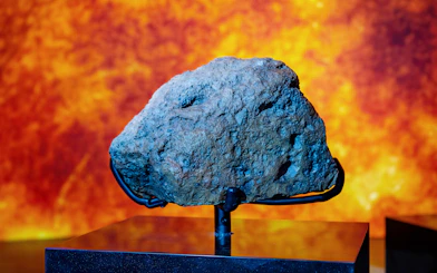 Ash Shaqqah 002 Meteorite with fusion crust at National History Museum, Abu Dhabi.
