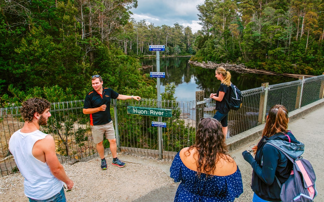 Guide explaining Huon River view to tourists on Tahune Airwalk tour.