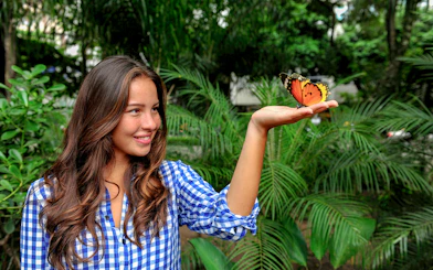 Butterfly resting on a woman's finger at Dubai Butterfly Garden.